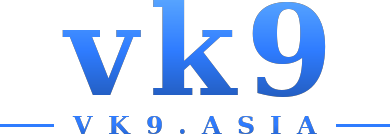 vk9 logo